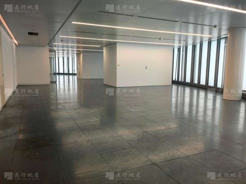 上海中心大厦 简装 可定制装修 随时看房_3