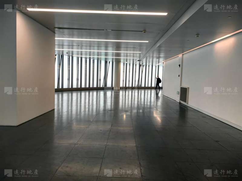上海中心大厦 简装 可定制装修 随时看房_5