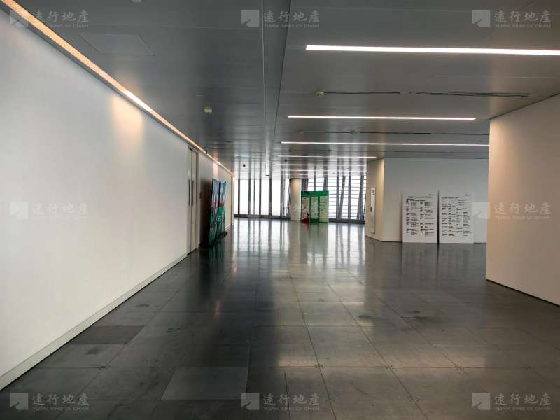 上海中心大厦 开发商直租 可定制装修 随时看房_6