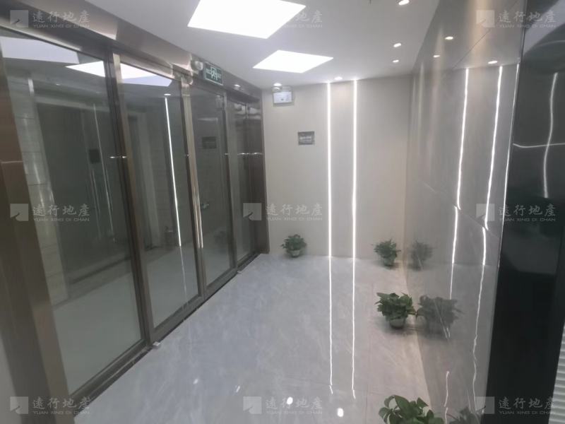 业主直租 市中心核心楼盘 正对电梯 全新装修 户型周正_4
