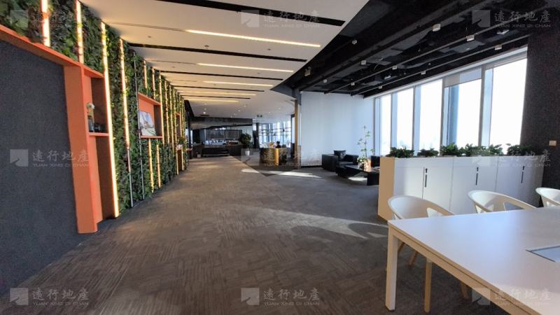 重庆环球WFC  地标性建筑  500强齐聚  精装带家具_10