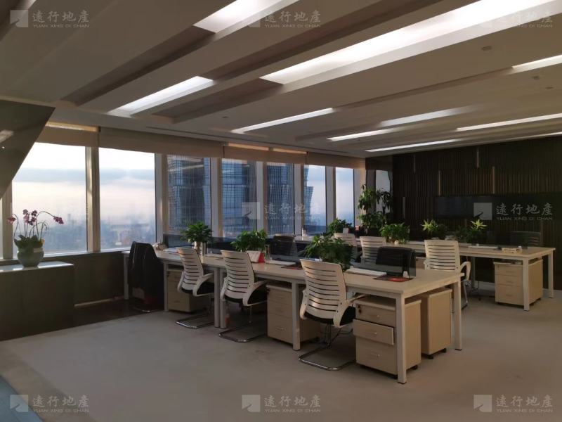 上海环球金融中心 开发商直租 随时看房 请联系我_4