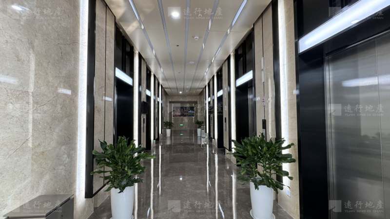 政策重点扶持项目 电梯入户 整层 超大会议室 全新装修出租_4