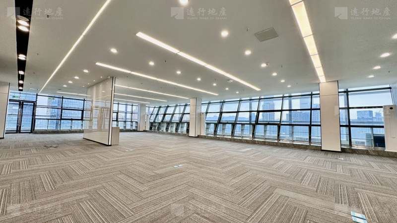 政策重点扶持项目 电梯入户 整层 超大会议室 全新装修出租_10
