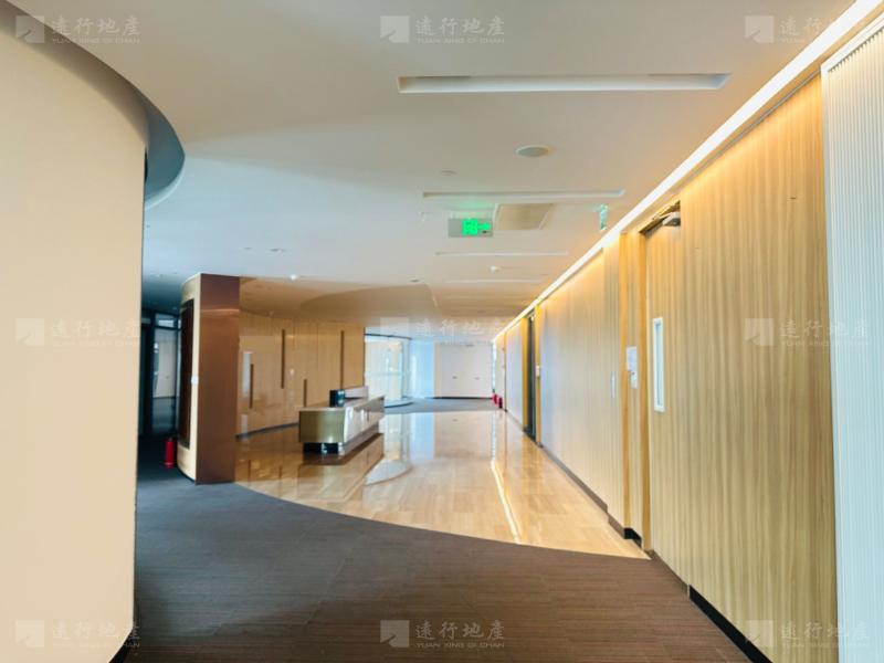 上海中心大厦 开发商直租 随时看房 请联系我_3