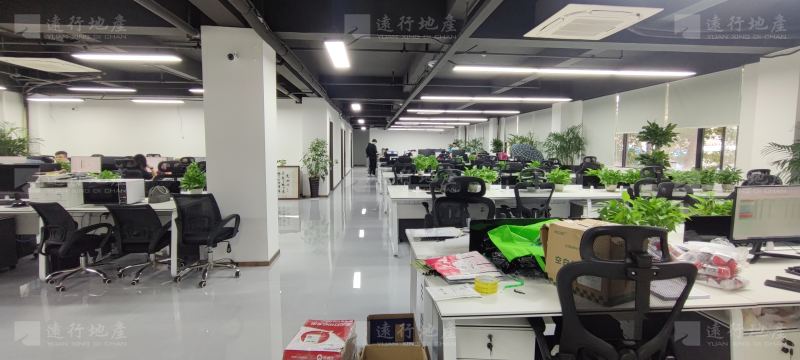 TIP新光厂·湾区智慧创新中心丨精装办公室丨整层_4