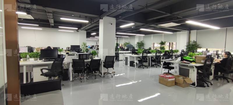 TIP新光厂·湾区智慧创新中心丨精装办公室丨整层_3
