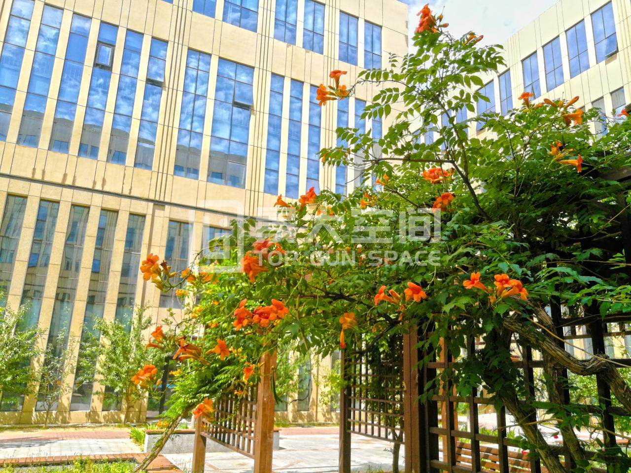 乐华仕健康产业园写字楼出租_3