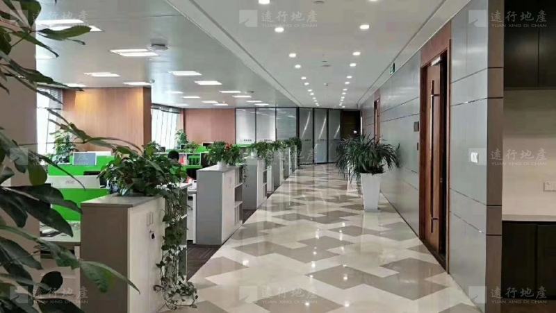 上海环球金融中心面积478平精装修带家具！_4