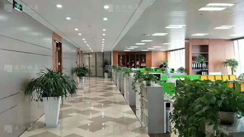 上海环球金融中心面积478平精装修带家具！_5