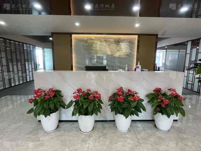 九龙湖国际企业总部园 高层江景房豪华整层带全套家具_5