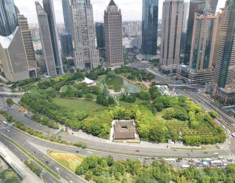 上海环球金融中心！上海标志性建筑物！豪华装修带家具_3