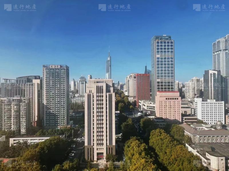 中南国际 全新豪华装修 高层视野 超大落地窗 热租_3