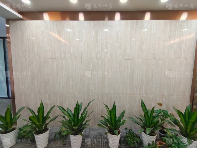 汉街总部国际 全景落地窗 正对电梯口 精装修带家具_4