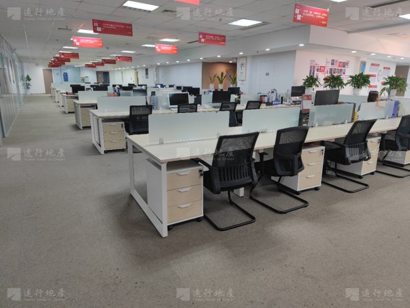 南京地标 国际金融中心 全新装修带家具 采光好  _1