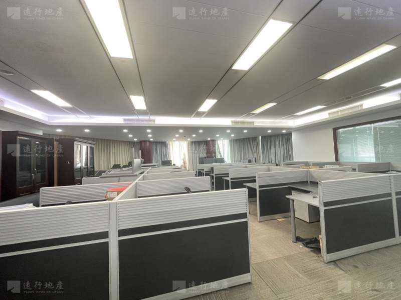 上海环球金融中心 精装修 拎包入住 随时可看_3