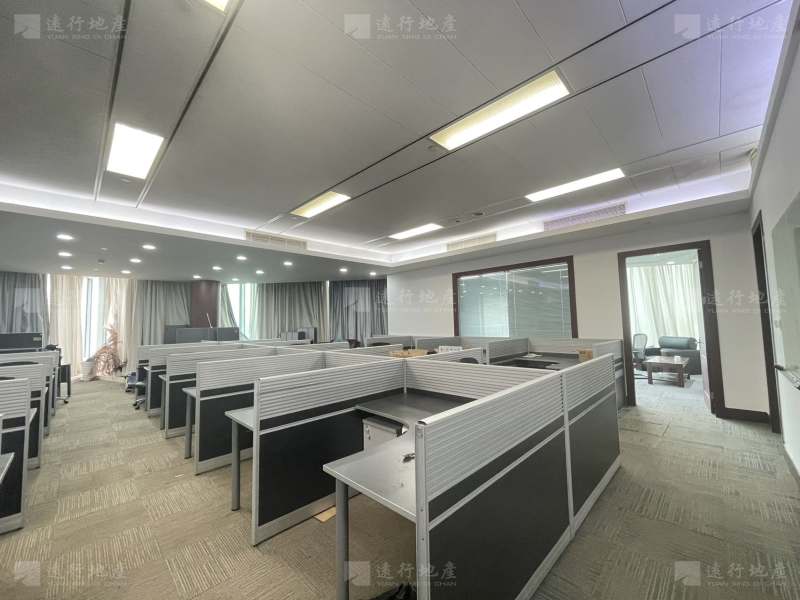 上海环球金融中心 精装修 拎包入住 随时可看_8