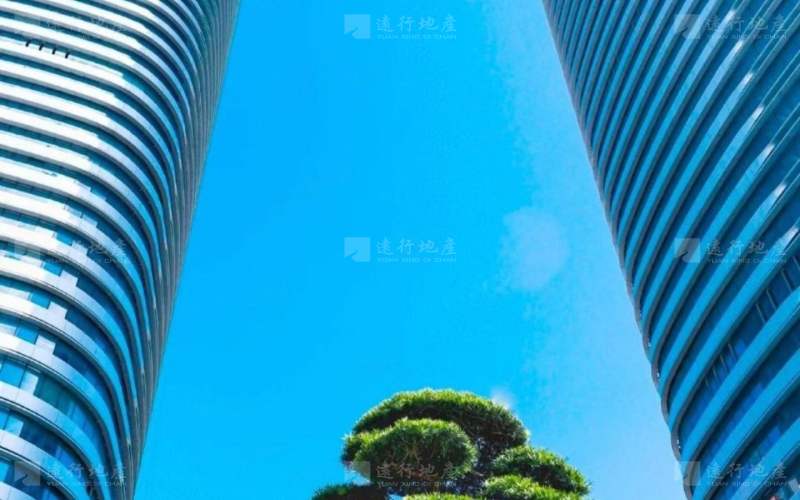 深圳北地标建筑 星河双子塔200一3000平 超长免租期_4
