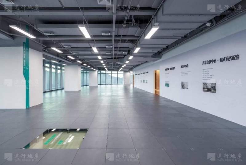深圳北地标建筑 星河双子塔200一3000平 超长免租期_12