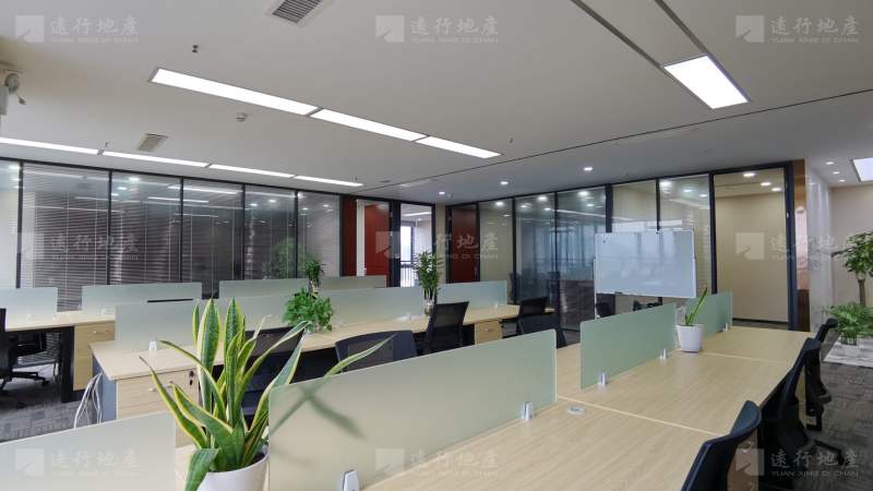 深圳星河双子塔200到整层甲级红本写字楼办公室出租开发商直租_6