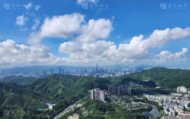深圳北地标建筑 星河双子塔200一3000平 超长免租期_7