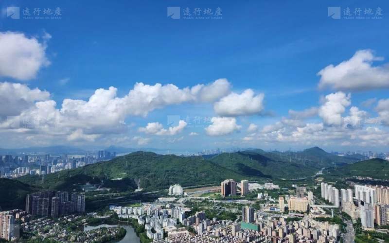 深圳北地标建筑 星河双子塔200一3000平 超长免租期_8