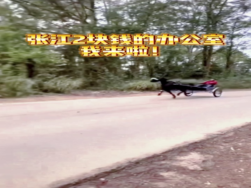 精装稀缺小户型 可远眺陆家嘴三件套_1